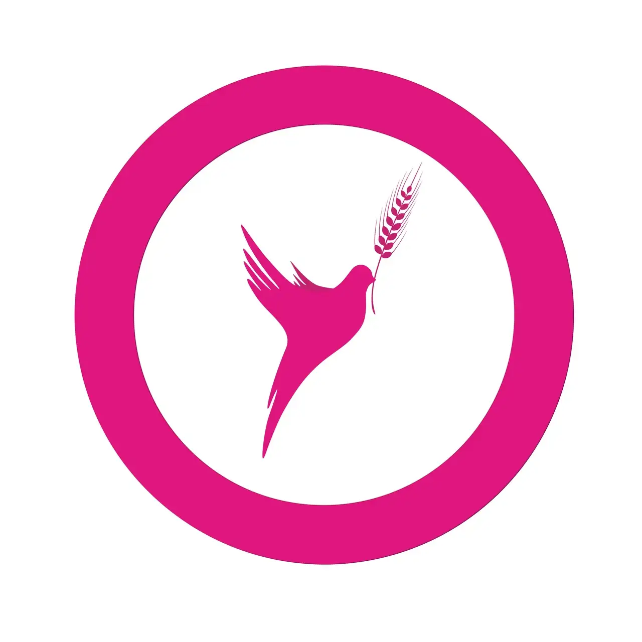 Кейс: Медиапроект для Молодёжного совета Зернограда